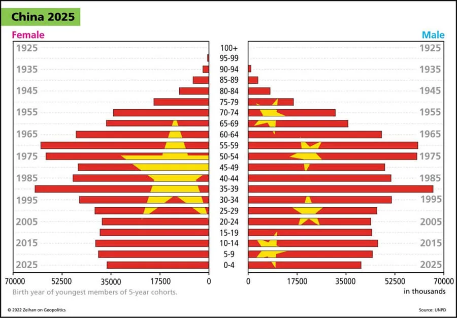 China Demographics graph showing aging population with little growth Demographics
